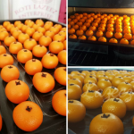 Resipi Biskut Limau Pokkan Mandarin. Unik, Sedap & Seakan Limau Sebenar!