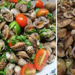 kerang