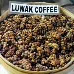 Untitled design (21)