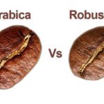 Untitled design (22)