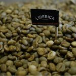 Untitled design (24)