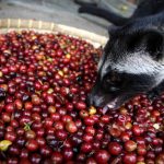 Untitled design (27)