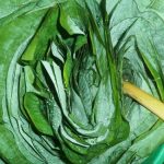 21767939_680966315444795_4692197374896928384_n