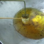 Untitled design (13)