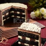 Untitled design (16)