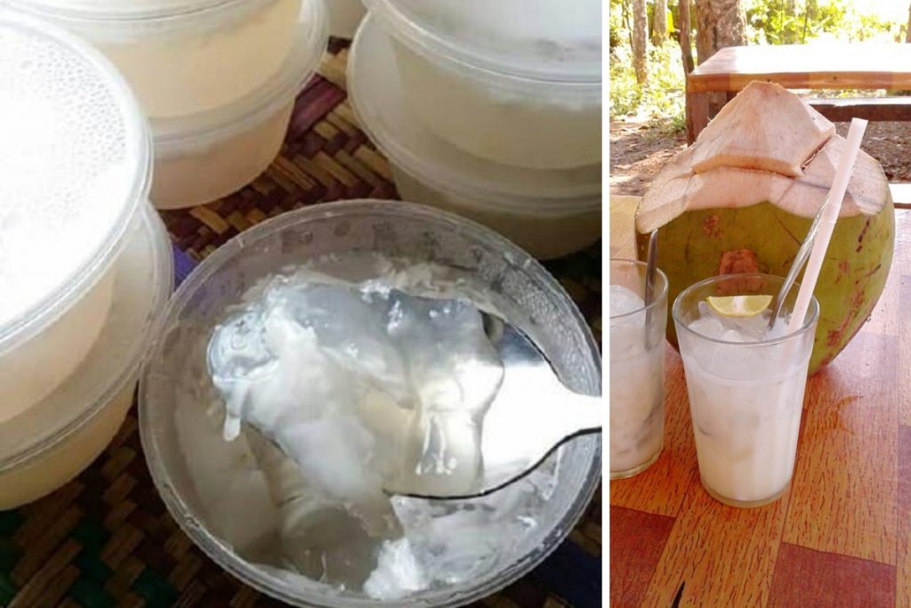 Buat Sendiri Jeli Kelapa Sedap Dan Segar