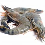 Ini Tip Bantu Korang Bersih & Masak Udang Dengan Cara Paling Senang.