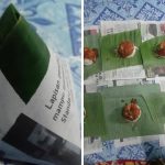Resipi Ringkas Nasi Lemak RM1, Boleh Buat Niaga Kecil-Kecilan