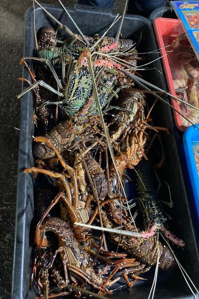 Syurga Makanan Laut, Wanita Ini Teruja Tengok Semuanya Saiz XXXL di Todak Waterfront, Sabah