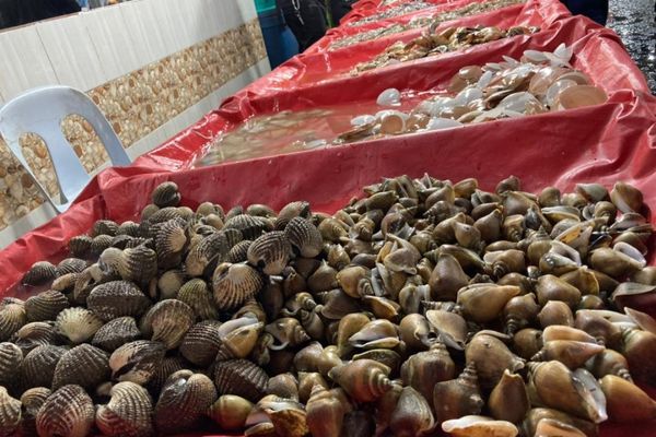 Syurga Makanan Laut, Wanita Ini Teruja Tengok Semuanya Saiz XXXL di Todak Waterfront, Sabah