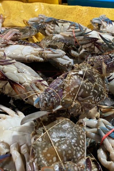 Syurga Makanan Laut, Wanita Ini Teruja Tengok Semuanya Saiz XXXL di Todak Waterfront, Sabah
