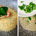 sotong