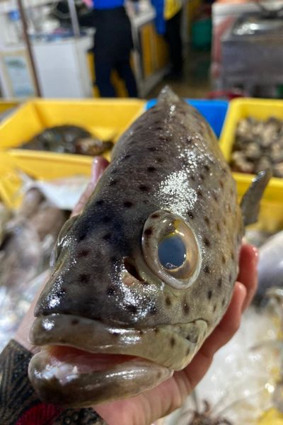 Syurga Makanan Laut, Wanita Ini Teruja Tengok Semuanya Saiz XXXL di Todak Waterfront, Sabah
