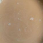caramel macchiatto (1)