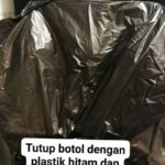 tauge (4)