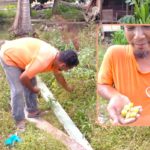 oku letup (1)