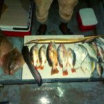ikan sagai (3)