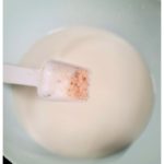 pulut mangga (4)