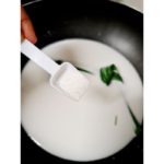 pulut mangga (7)