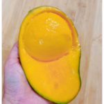 pulut mangga (1)