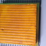 satay bakar (6)