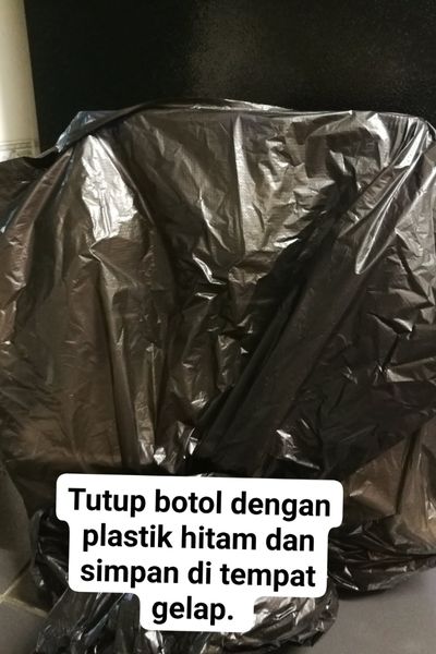 Tanam Sendiri Tauge Di Dalam Botol, Bersih Dan Berbaloi