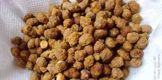 Kacang Goreng Crispy Homemade Guna 3 Bahan Je