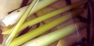 Resipi Minuman Untuk Sakit Kaki, Amalkan Secara Konsisten