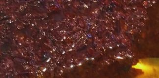 Budu Goreng, Makan Dengan Nasi Saja Pun Sedap