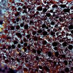 Kek Gula Hangus, Elok Berongga Sarangnya