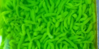 Resipi Cendol Homemade, Rasanya Lebih Sedap