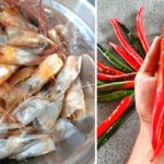 Kegunaan Lain Kulit & Kepala Udang, Boleh Jadi Baja ‘Power’ Untuk Tanaman