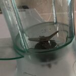 3 Cara Mudah Tajamkan Kembali Mata Pisau Blender Yang Dah Tumpul