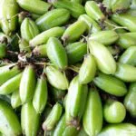 Cara Buat Belimbing Buluh Asam Boi, Lagi Lama Peram Lagi Sedap. Boleh Kunyap Begitu Saja