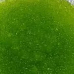 Tip masak sagu cantik