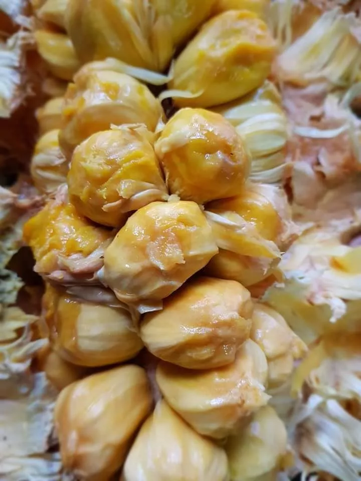 Cara Buat Cempedak Goreng Rangup Tapi Tak Berminyak. Guna Teknik Menggoreng Ini