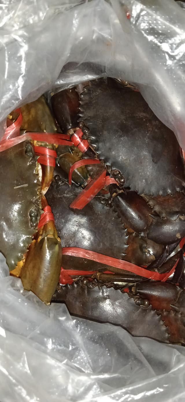 Maggi Ketam Ni Buat Ramai Terliur. Resipi Bajet Tapi Rasa Restoran