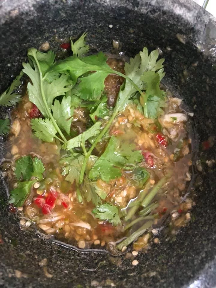 Resipi Sotong Stim Ala Thai Yang Sedap Tak Terkata