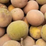 Jeruk Setoi Curah Kicap Pedas Untuk Pencinta Asam & Jeruk