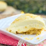 No Bake Durian Cheesecake, Resipi Mudah Musim Durian