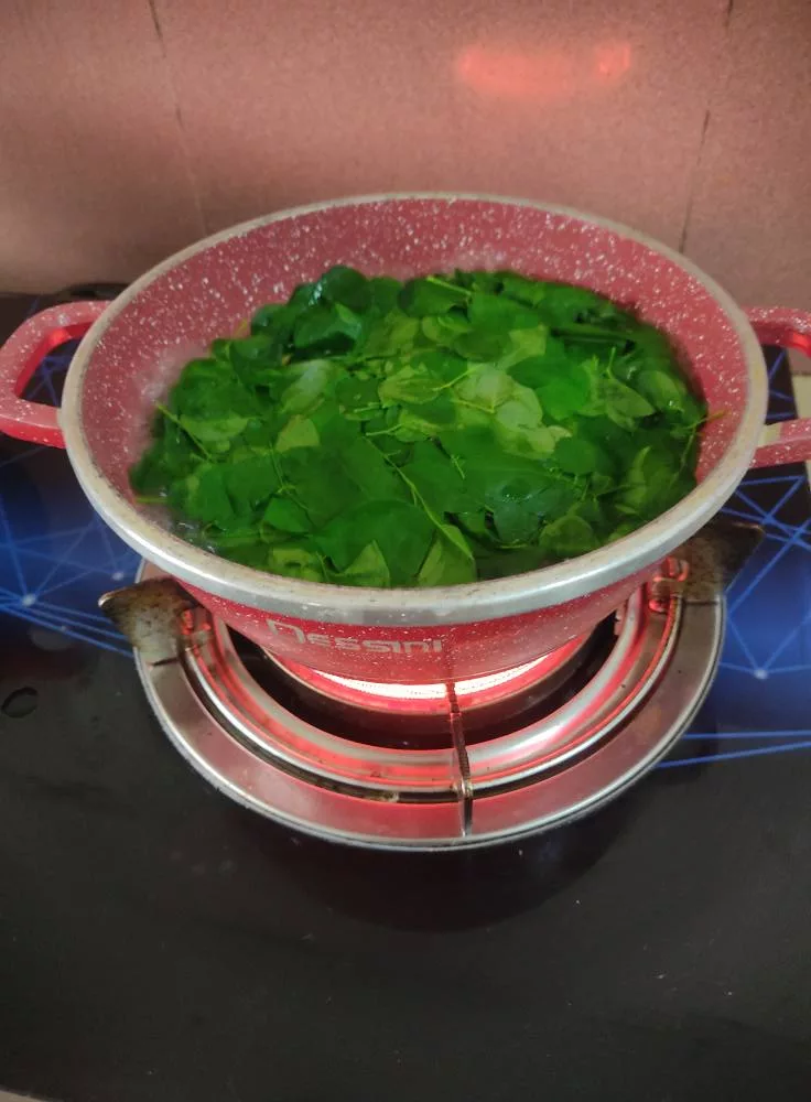 Cara Buat Teh Moringa Dari Daun Segar. Lebih Tinggi Khasiat & Jimat Dari Beli Sachet