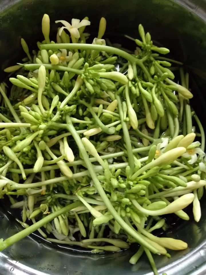 Cara Masak Bunga Betik Supaya Tak Pahit, Sedap Buat Kerabu & Lauk Tumis
