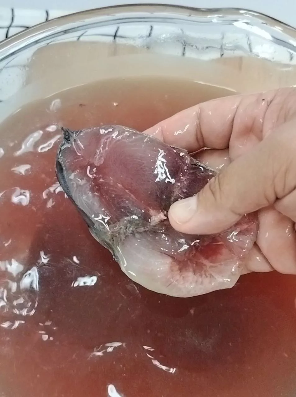 Cara Lembutkan Ikan Beku dengan Garam dan Cuka, Petua Cepat & Berkesan!