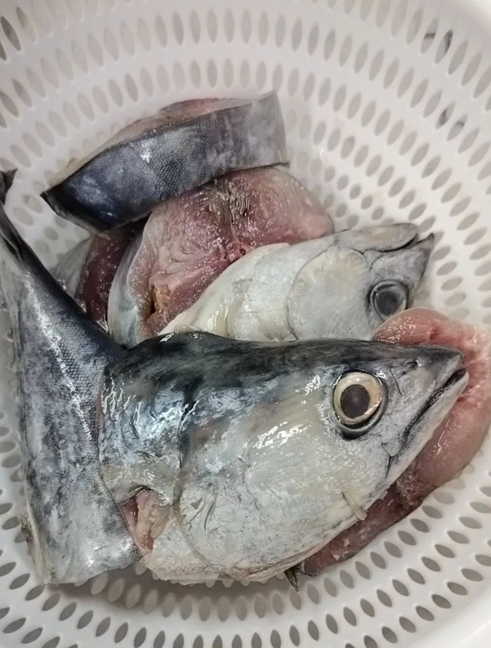 Cara Lembutkan Ikan Beku dengan Garam dan Cuka, Petua Cepat & Berkesan!
