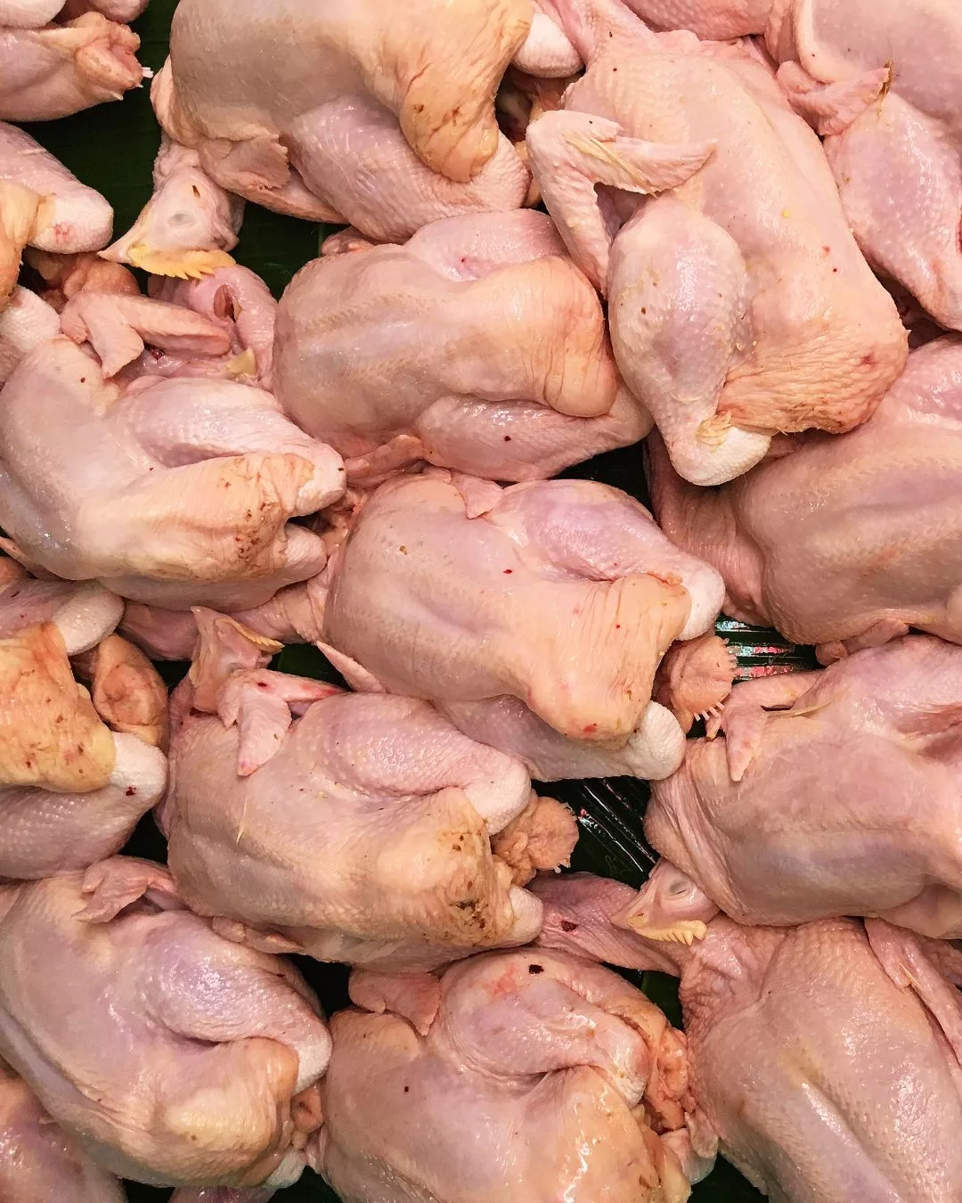 Nak Tahu Ayam Segar atau Tak? Lihat Warna Buntut Ayam untuk Elak Beli Ayam Tak Halal!