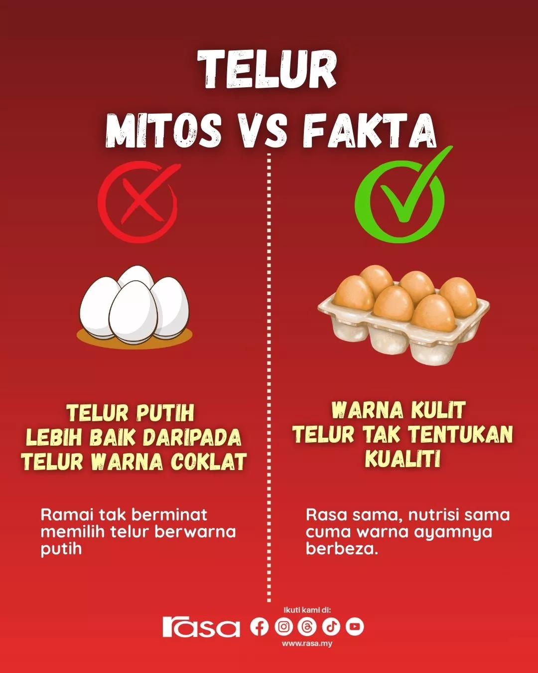 Mitos Telur: Bongkar Fakta Mengejutkan Yang Akan Ubah Cara Anda Makan Telur
