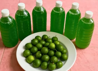 Sabun Pencuci Pinggan Limau Kasturi Buatan Sendiri Yang Jimat & Berkesan