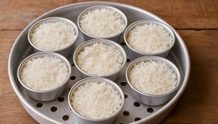 TOP IMAGE ELINA - 2025-11-17T113848.383