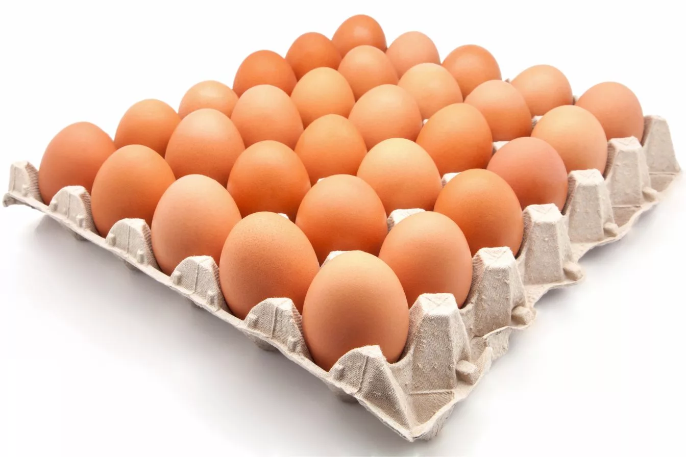 Rahsia Bentuk dan Warna Kulit Telur, Panduan Bijak Pilih Telur Segar