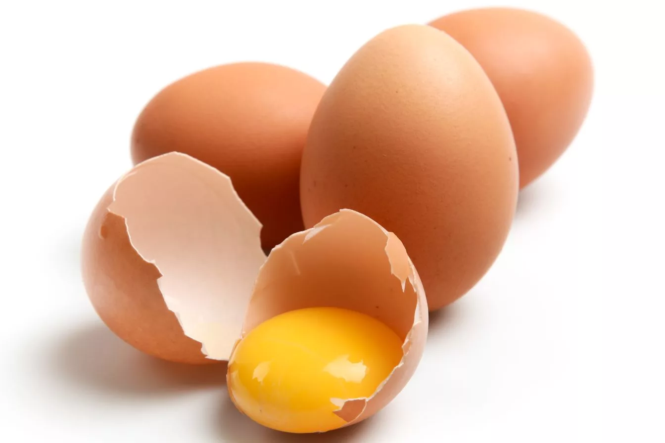 Rahsia Bentuk dan Warna Kulit Telur, Panduan Bijak Pilih Telur Segar